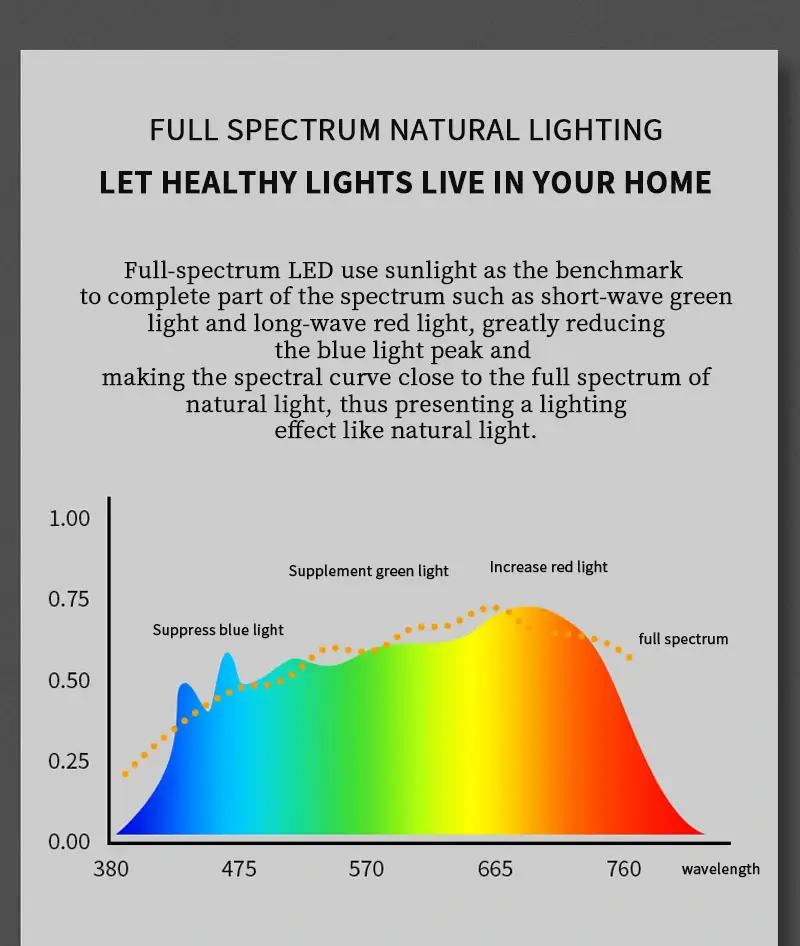 2024 New LED Lamps